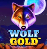 Wolf Gold